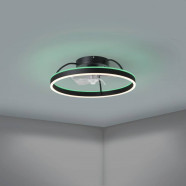 35193  Вентилятор потолочный со светильником (RGB+TW) MARINELLA, Ø500, сталь, акрил, черный, молочный